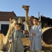 market_camel_embaba_cai_v_0047_egy0310.jpg